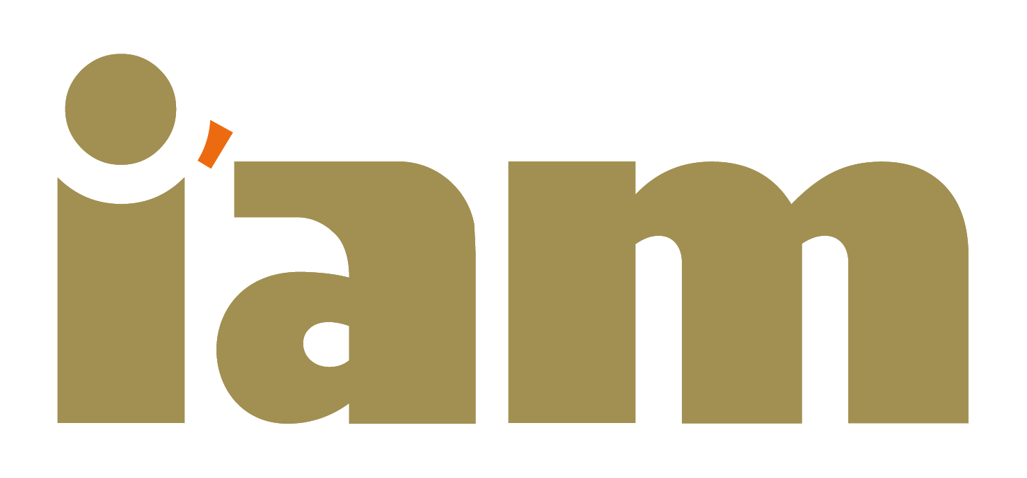 IAM Strategic Partner logo